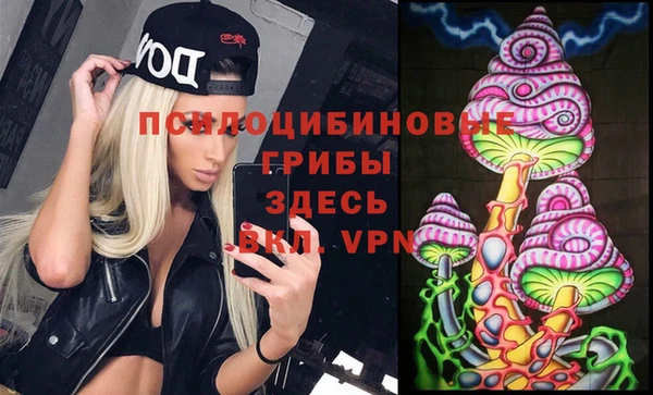МДПВ Арсеньев